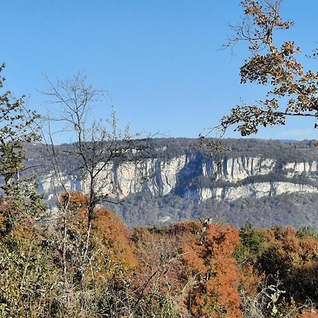Gite Des 2 Lions Murs-et-Gelignieux Bagian luar foto