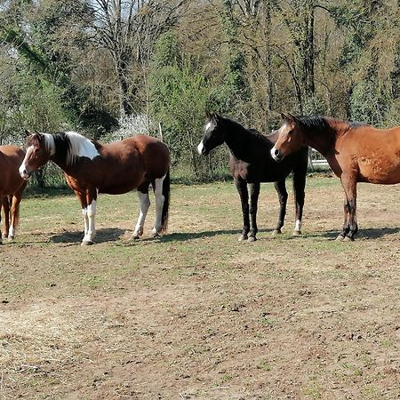 Gite Des 2 Lions Murs-et-Gelignieux Bagian luar foto