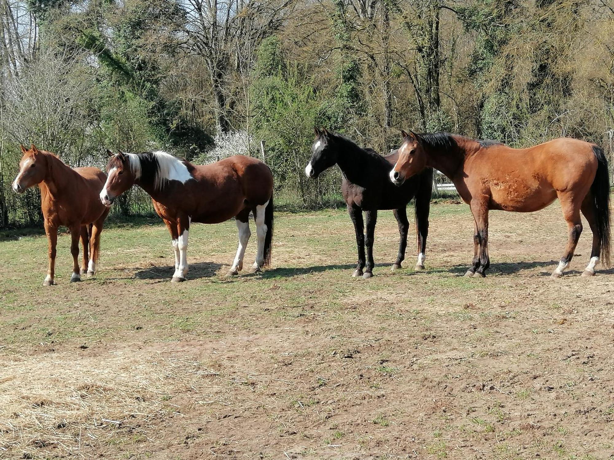 Gite Des 2 Lions Murs-et-Gelignieux Bagian luar foto